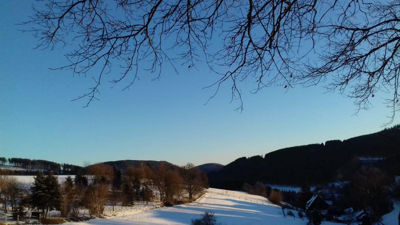 Berghotel Natura Bed & Breakfast Winterberg Luaran gambar
